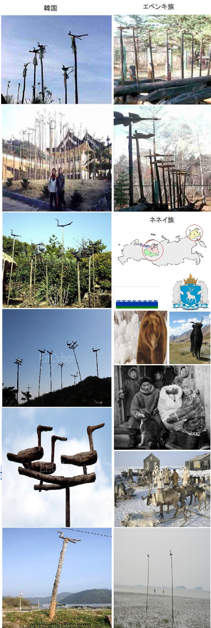 다운로드 (5).jfif