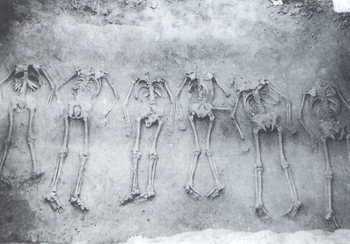 목 없는 순장자들의 유골.