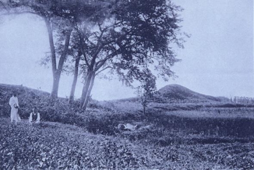 대동강 남쪽의 낙랑토성(조선고적도보). 조선총독부는 낙랑군을 다스리던 치지(治地)라고 주장했지만 일본 학자들 사이에서도 이견이 많았다.