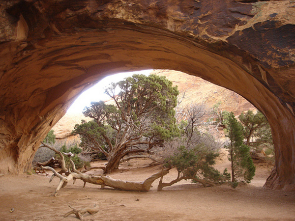 http___www.weblo.com_asset_images_large_Navajo_Arch_Navajo_Arch_48f5a19da0db1.jpg.png