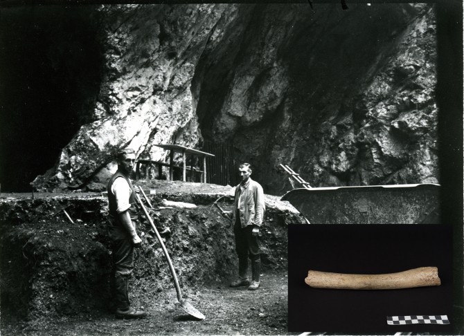 독일 남서쪽 ‘호렌스테인-스테달 동굴(Hohlenstein-Stadal Cave)’에서 1937년 발굴했던 약 12만4000년 전의 네안데르탈인 대퇴골 속 미토콘드리아 유전자를 분석한 결과, 약 40만 년 전에 처음으로 네안데르탈인과 현대인이 분리됐다는 것을 확인됐다 - MAX PLANK INSTITUTE 제공