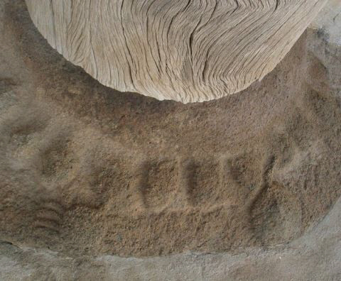 미황사 대웅전 주춧돌에는 일반적인 연꽃 무늬가 아니라 바다와 연관된 게, 거북 등이 조각되어 있다.