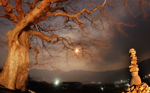 거대한 나무는 단순한 나무가 아니라 인간을 수호하는 상징물이기도 했다. 사진은 경남 하동군 상신흥 마을의 성황당 나무와 돌탑. 경향신문 자료사진