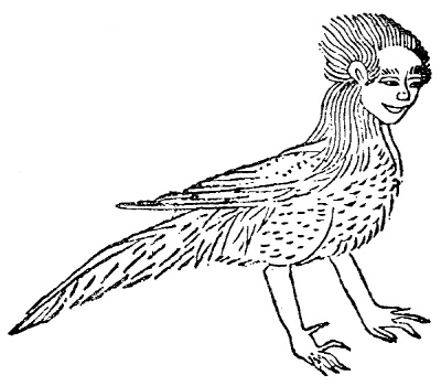 <산해경>에 실린 인면조 ‘주’.