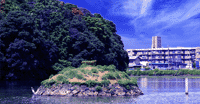 垂仁天皇陵陪塚 田道間守墓○奈良縣奈良市五條