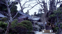 葛城坐一言主神社○奈良縣御所市大字森脇