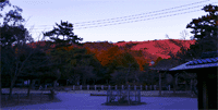 春日○奈良縣奈良市春日野町