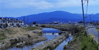 三輪川 大和川○奈良縣櫻井市大字三輪